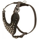 Adjustable Leather Belgian Malinois Harness Studded for Fashion Walking