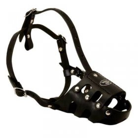 Anti Barking Leather Belgian Malinois Muzzle