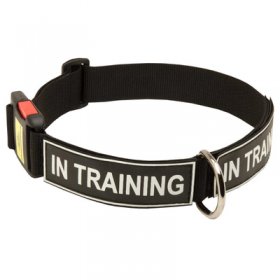 All Weather Nylon Belgian Malinois Collar with ID Patches