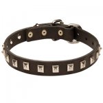 Belgian Malinois Leather Collar Caterpillar Design