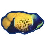 10" Tropical Damselfish