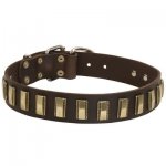 Leather Belgian Malinois Collar with Awesome Brass Plates