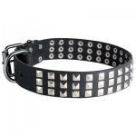 Leather Belgian Malinois Collar with 3 Rows of Nickel Pyramids