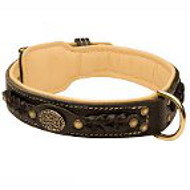 Belgian Malinois Leather Collar Braided