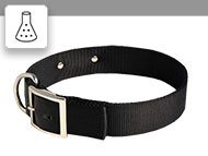 Nylon Dog Collar