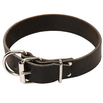 Belgian Malinois Leather Collar