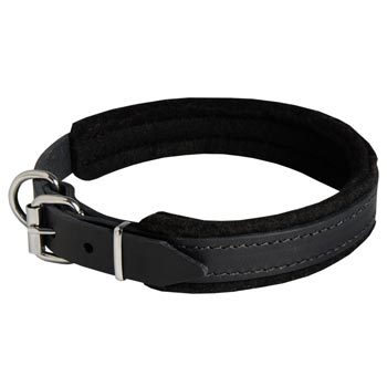 Padded Leather Belgian Malinois Collar Adjustable