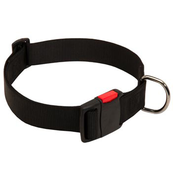 Nylon Belgian Malinois Collar for Training and Waling