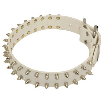 Spiked White Leather Collar for Belgian Malinois Walking
