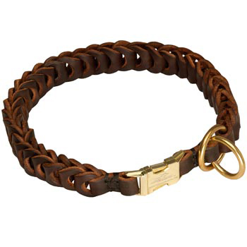 Belgian Malinois Leather Collar Braided Design