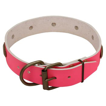 Fashion Pink Leather Belgian Malinois Collar