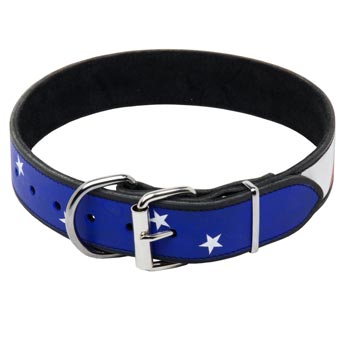 Belgian Malinois Leather Collar With American  Flag Painting