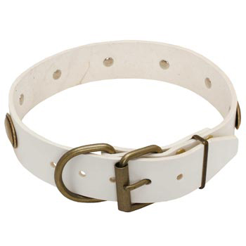 White Leather Dog Collar for Belgian Malinois Stylish Walks