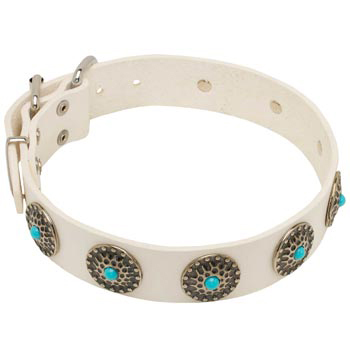 Leather Dog Collar White Exclusive for   Belgian Malinois Walking