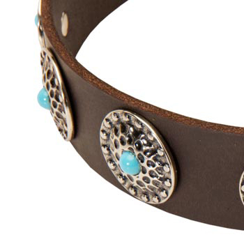 Blue-Stones Leather Belgian Malinois Collar