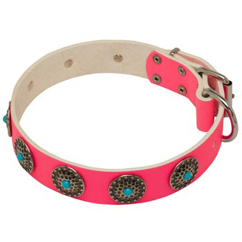 Safe Walking Leather   Belgian Malinois Сollar Pink Studded