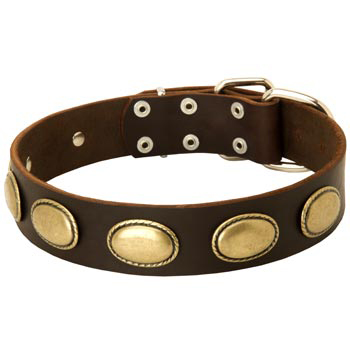 Fashion Leather Collar with Vintage Plates