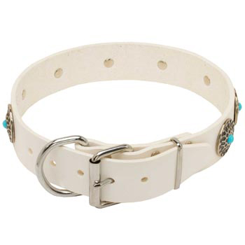 Leather   Belgian Malinois Collar White Fancy for Dog Training, Walking
