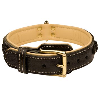 Belgian Malinois Decorated  Leather Dog Collar