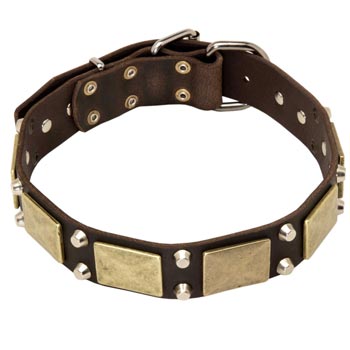 Nickel Studded Leather Belgian Malinois Collar