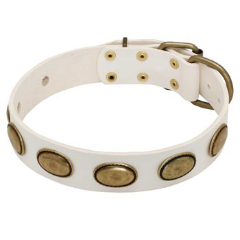 White Leather Belgian Malinois Collar with Vintage Oval Plates