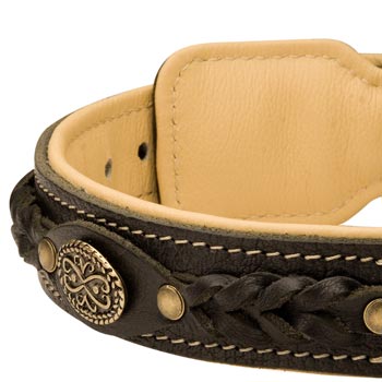  Leather Walking Fashion Collar for Belgian Malinois