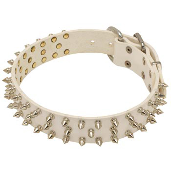 Spiked White Leather Collar for Belgian Malinois Walking