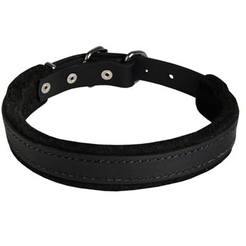 Belgian Malinois Collar Leather for Dog Protection Attack Training
