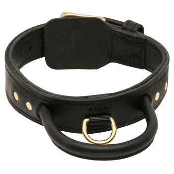 Leather Dog Collar with Handle for Belgian Malinois