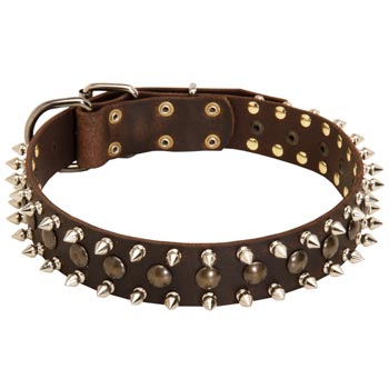 Belgian Malinois Leather Collar with Stylish Decoration