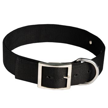 Belgian Malinois Training Collar with ID Tag