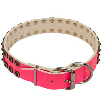 Belgian Malinois Pink Leather Collar for Walking She-Dogs