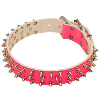 Pink Leather Collar for Belgian Malinois She-Dogs