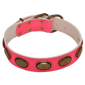 Pink Leather Belgian Malinois Collar for Female Dogs