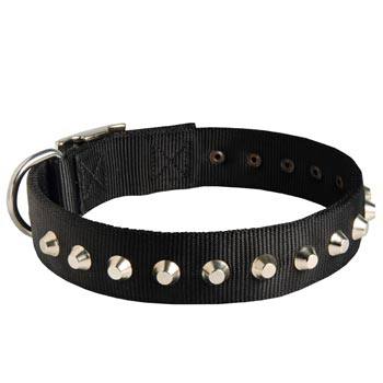 Walking Nylon   Belgian Malinois Collar Nickel Studded Waterproof