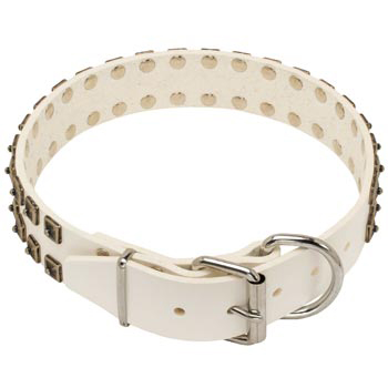 White Leather Dog Buckle Collar for Belgian Malinois