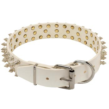 Spiked Leather Belgian Malinois Collar
