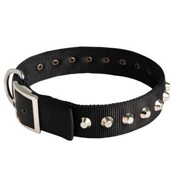 Nylon Buckle Dog Collar Wide with Studs for   Belgian Malinois