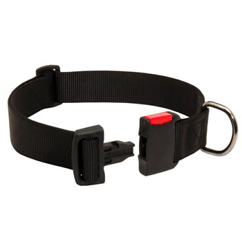 Reliable Nylon Belgian Malinois Collar