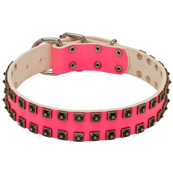 Studded Pink Leather Collar for Belgian Malinois She-Dogs