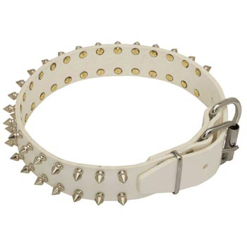 Fashion White Collar for Belgian Malinois