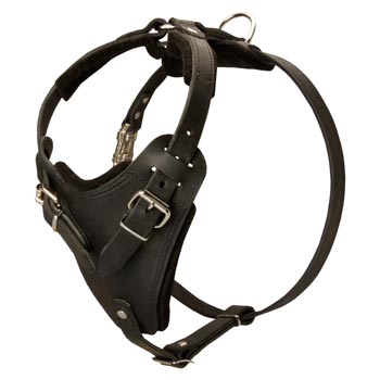 Dog Attack Training Belgian Malinois Harness Easy Adjustable