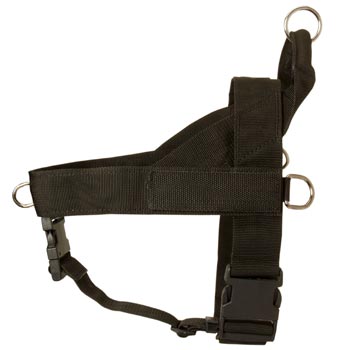 Belgian Malinois Harness Nylon for Comfy Walking