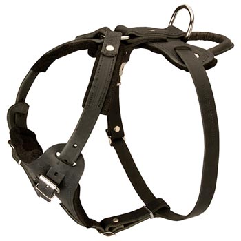 Leather Dog Harness for Belgian Malinois Off Leash Training