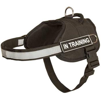 Nylon Belgian Malinois Harness Multifunctional All-Weather Practical