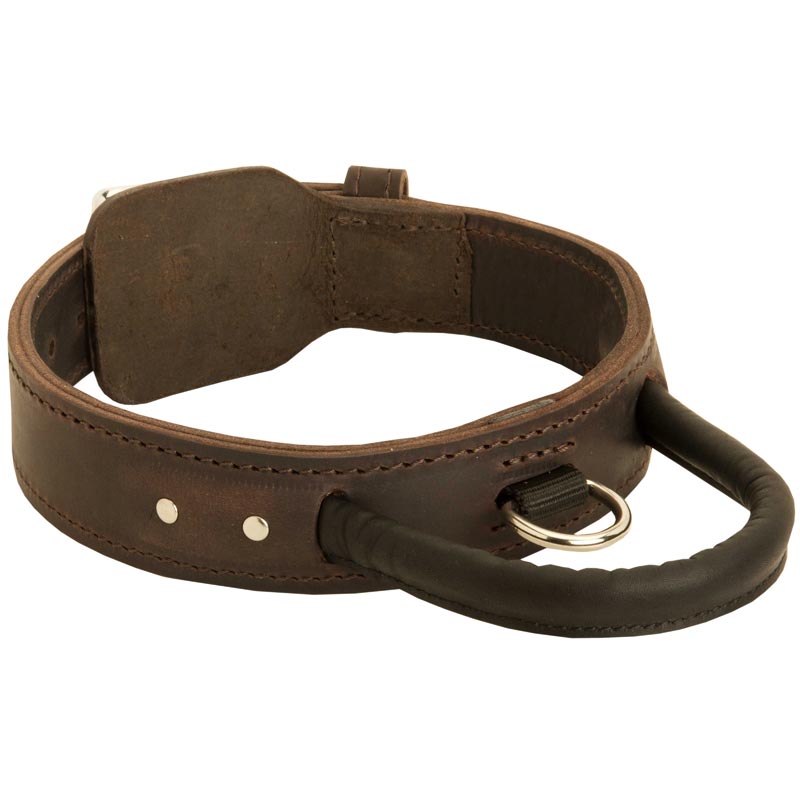 Extra Durable Leather Belgian Malinois Collar with Handle for Attack Training