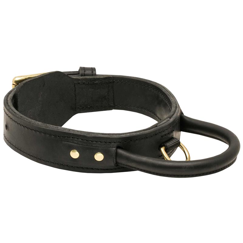 Extra Durable Leather Belgian Malinois Collar with Handle for Attack Training