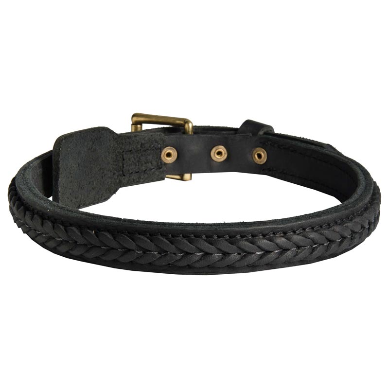 Belgian Malinois Braided Leather Collar 1 Inch