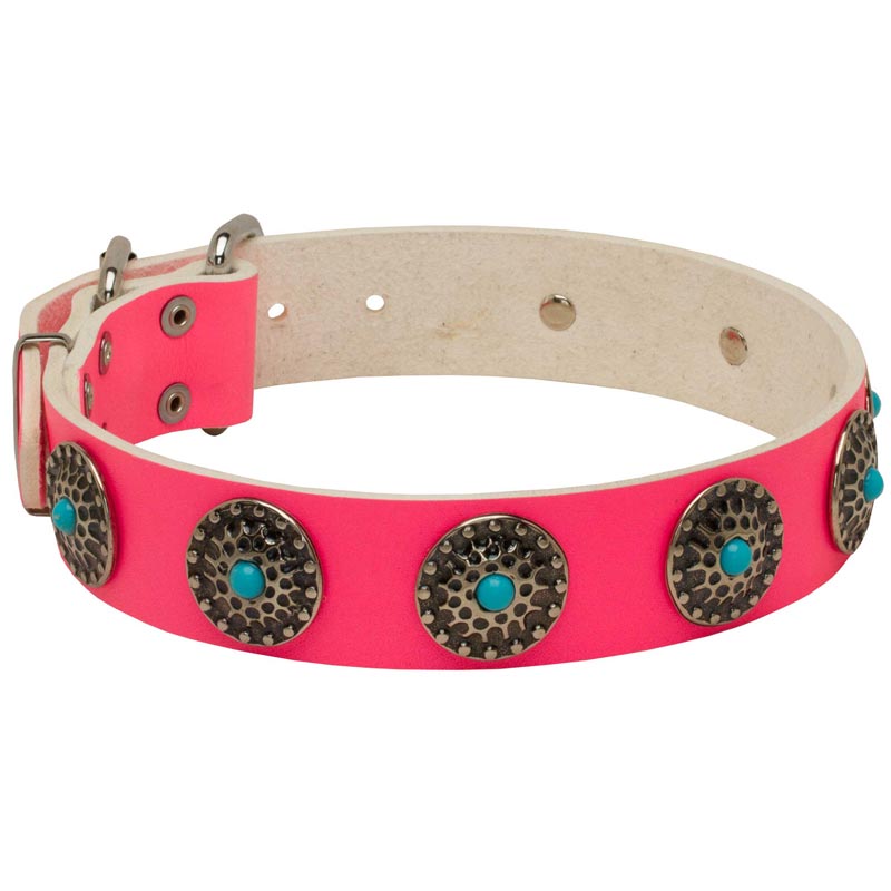 Pink Leather Belgian Malinois Collar with Circles for Dog Walking