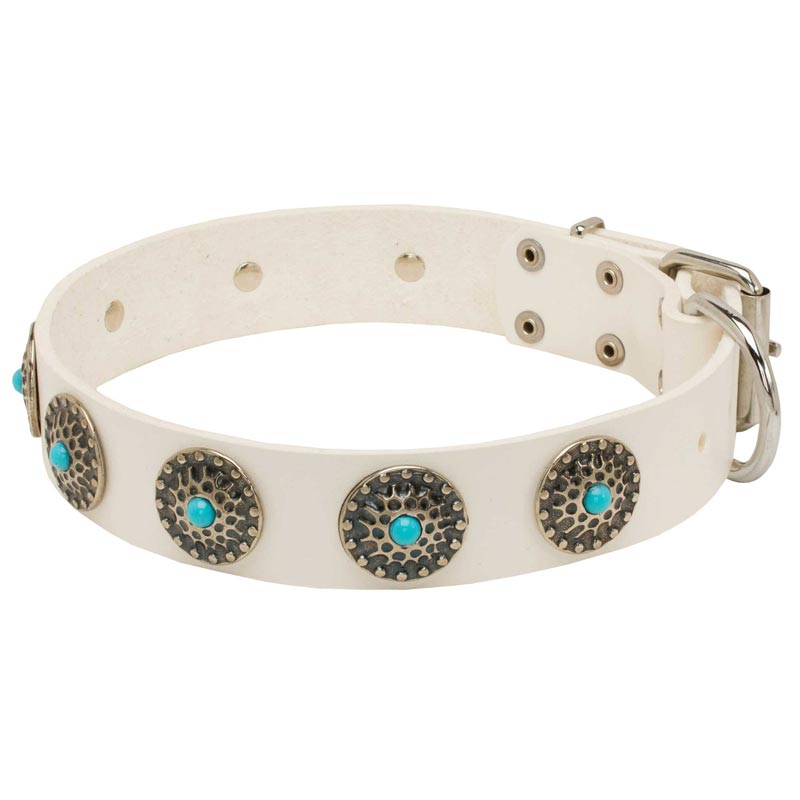 Exclusive White Leather Belgian Malinois Collar with Blue Stones